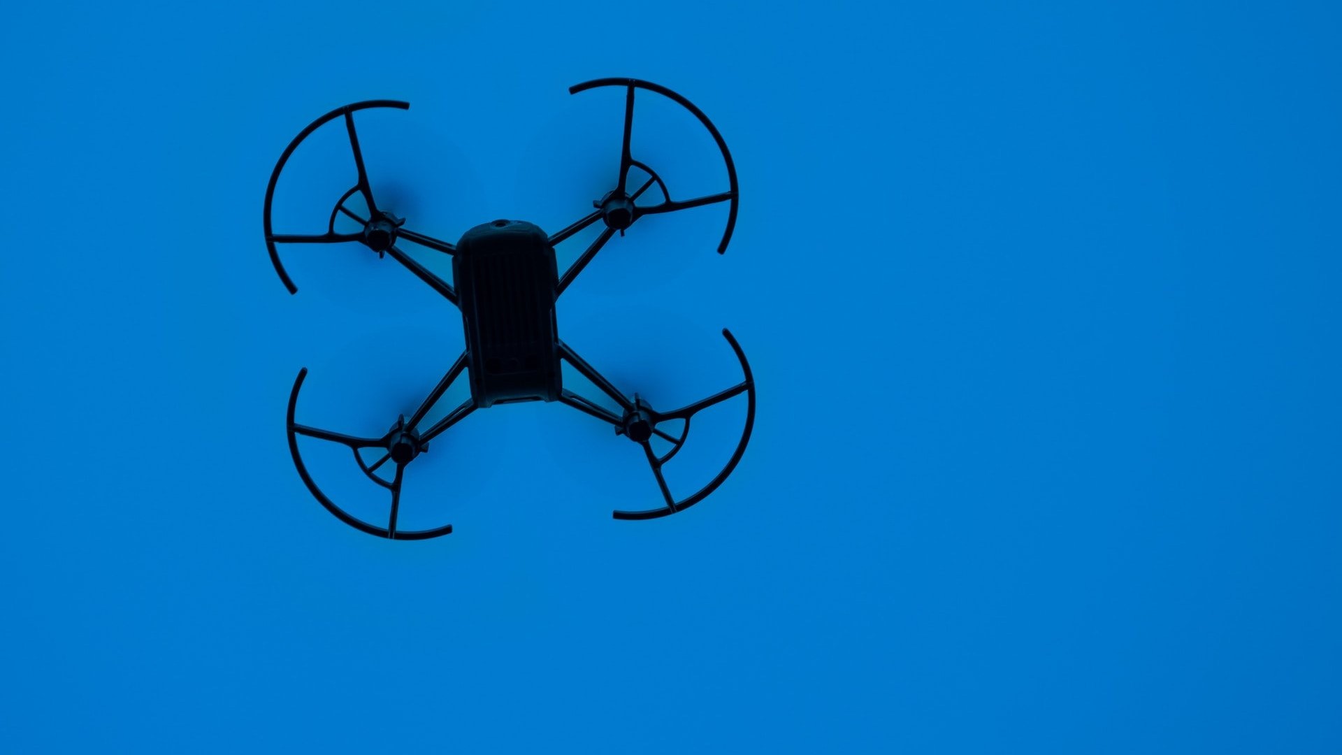 БПЛА Россельхознадзора обнаружили 118 зарастающих сельхозучастков в СЗФО