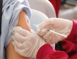 Эксперты рассказали, когда в Петербурге появится комбинированная вакцина от гриппа и коронавируса