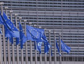 Европарламент призвал не конфисковывать личные вещи и машины россиян