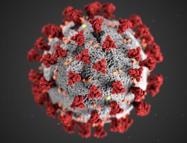 В России выявили 10 случаев инфицирования вариантом коронавируса «пирола»