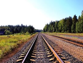 Лукашенко заявил о строительстве второй железнодорожной ветки на Ленобласть