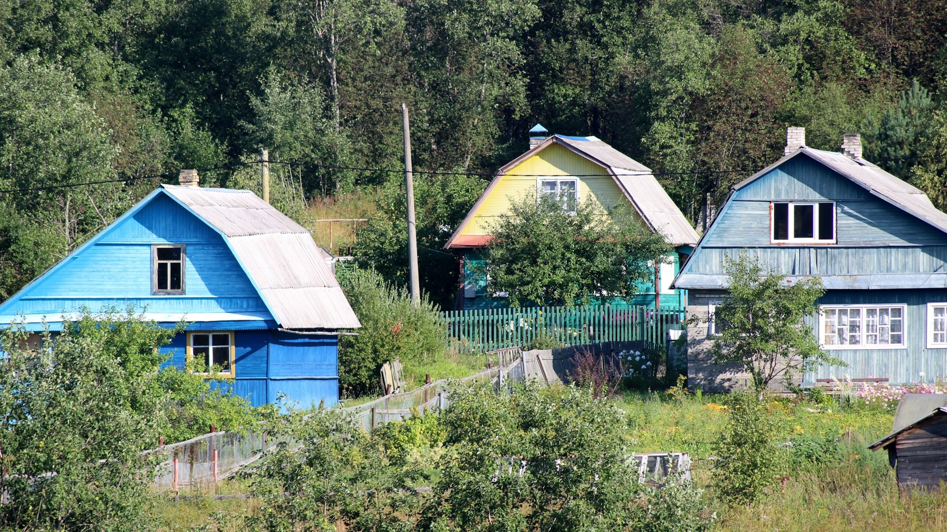 Росреестр предупредил о новых схемах мошенничества с загородными участками