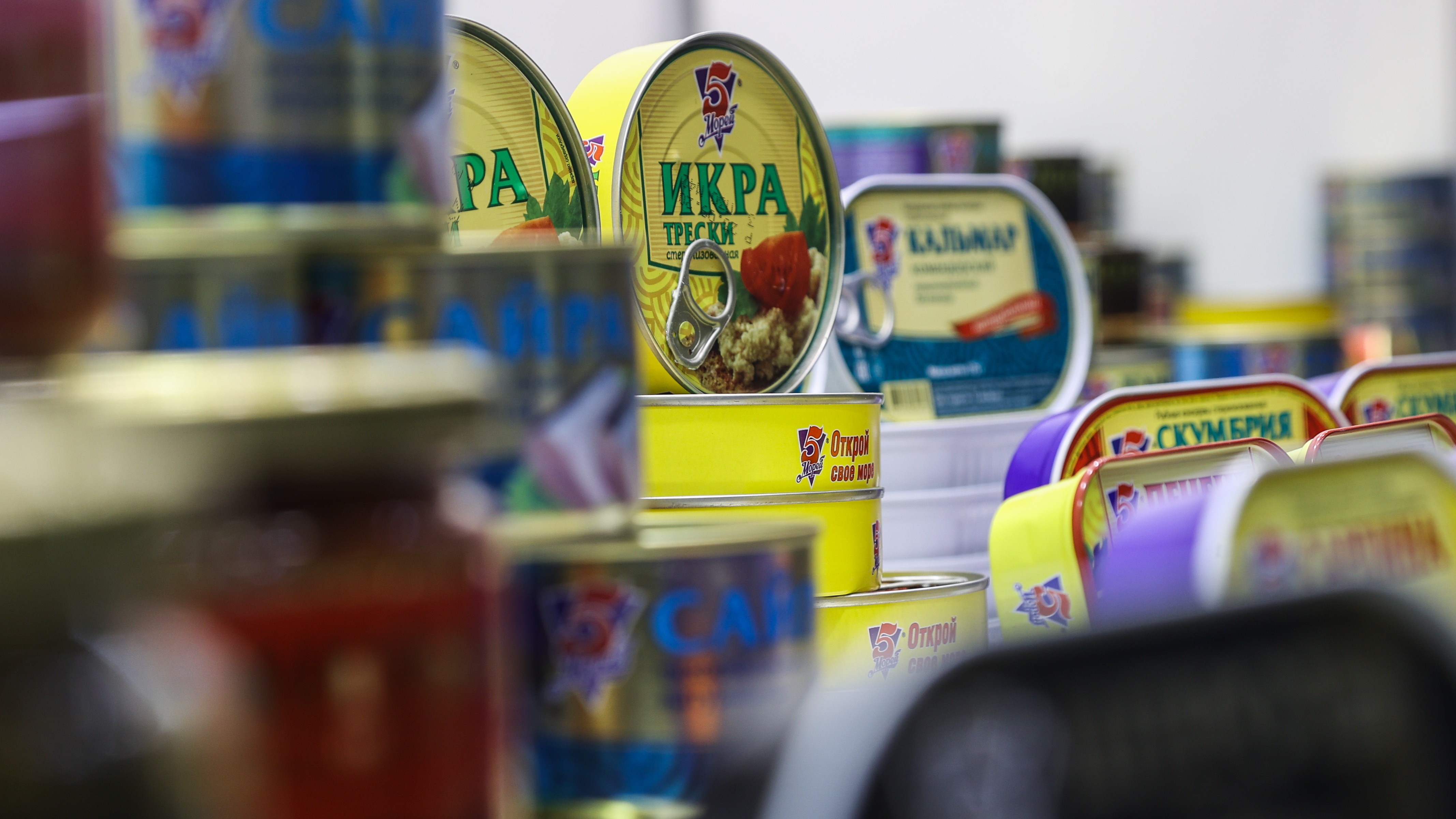 Россия увеличила экспорт рыбных консервов на 19% в 2025 году