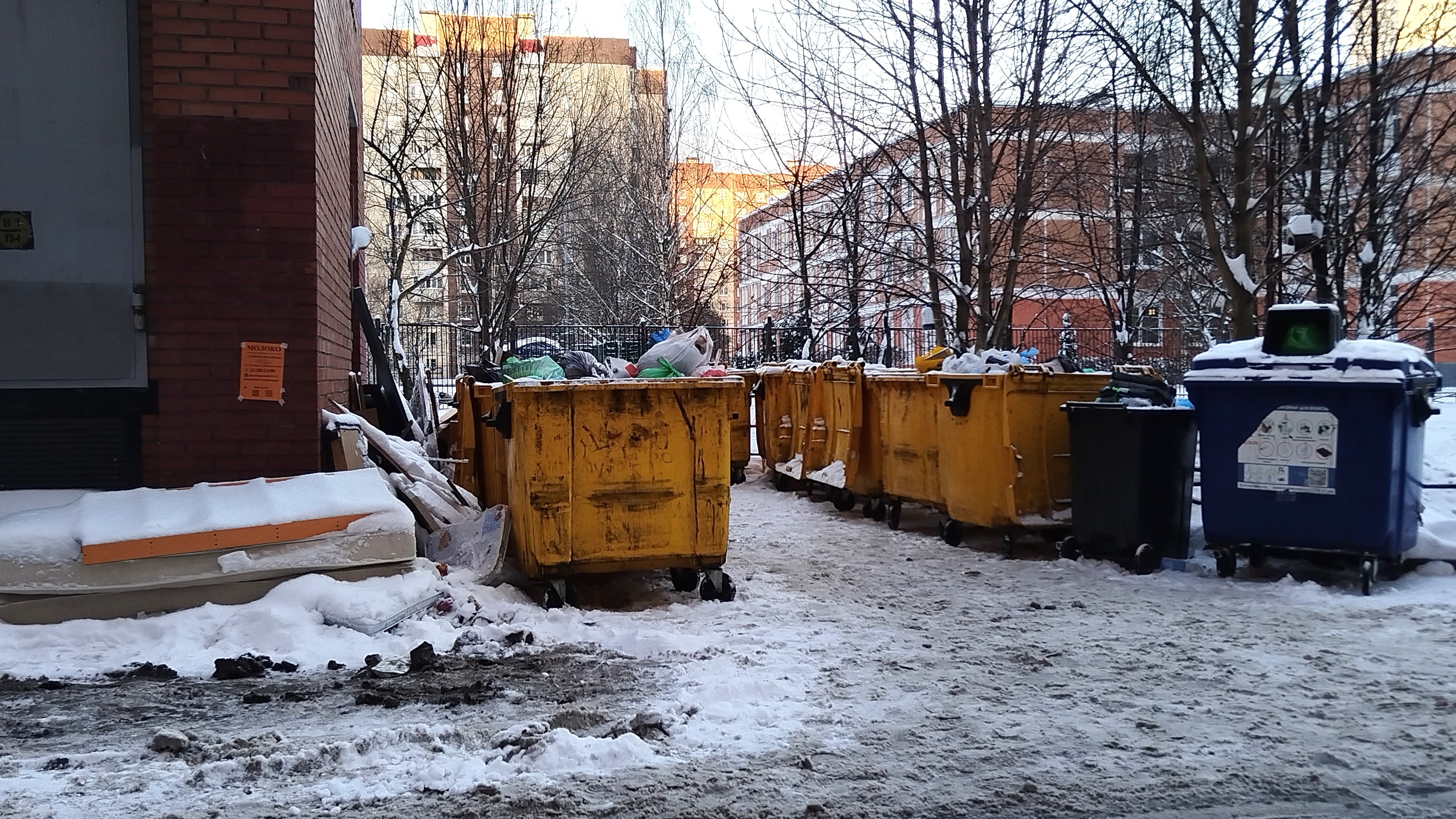 В Петербурге усилят контроль за парковкой машин у мусорных контейнеров 