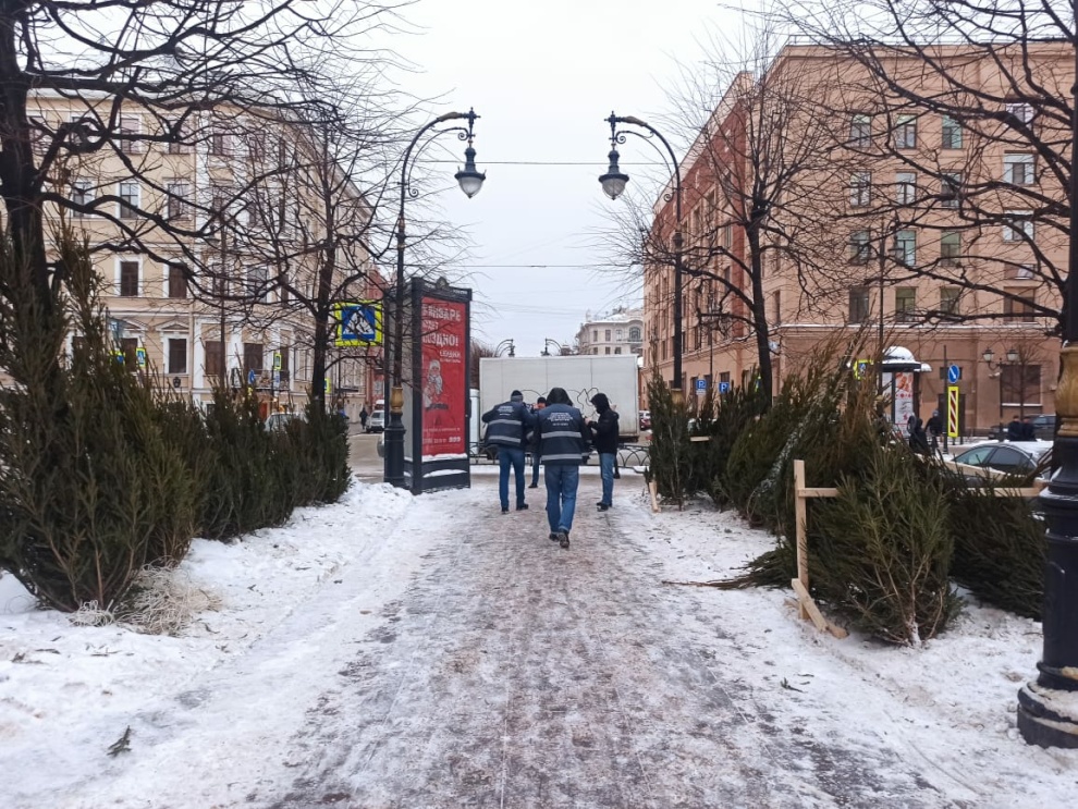 В Петербурге заработали елочные и новогодние базары