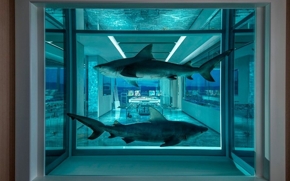 О гостиничном номере по проекту Дэмиена Херста