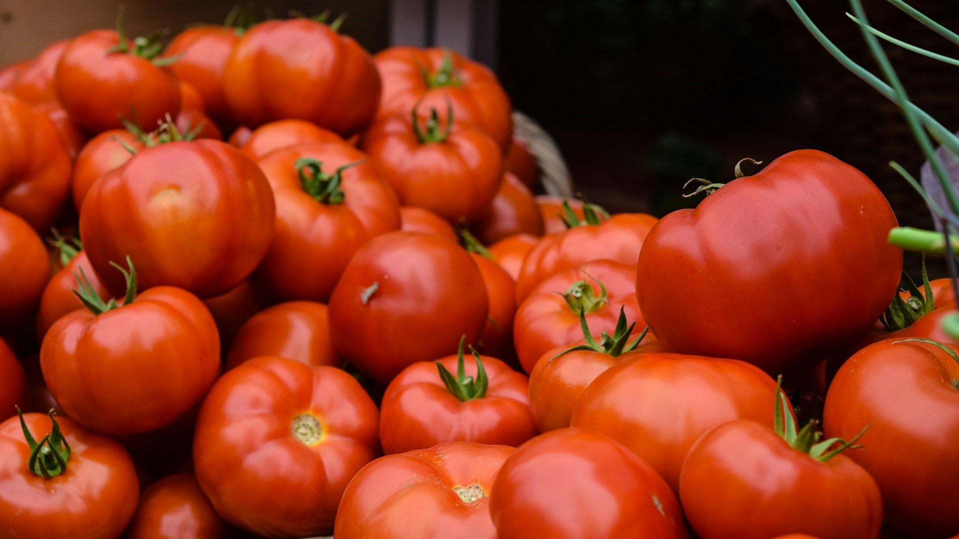 Минсельхоз хочет увеличить квоту на поставки томатов из Турции до 600 тыс. тонн