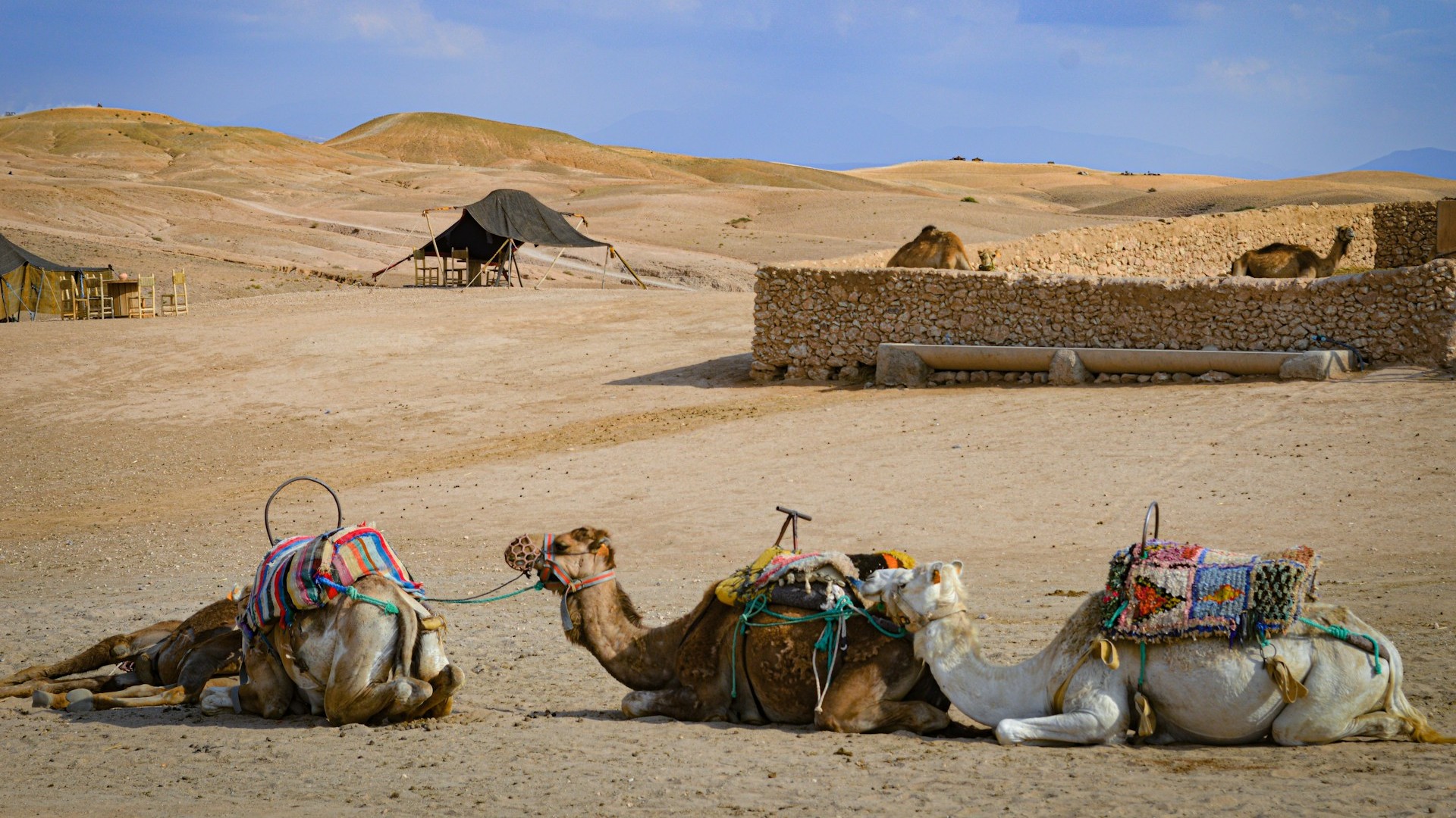 Зимние путешествия: новые горизонты