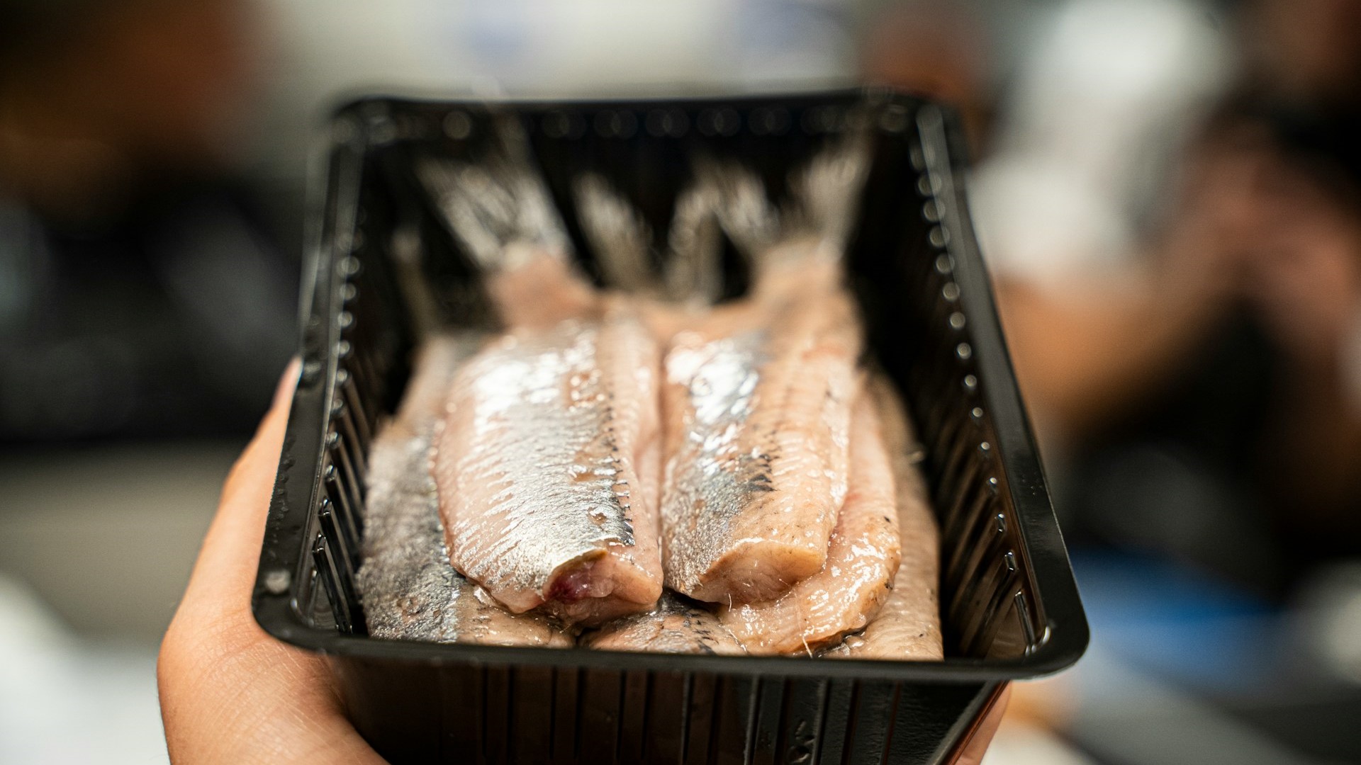 Цены на скумбрию и сельдь вырастут в 2026 году