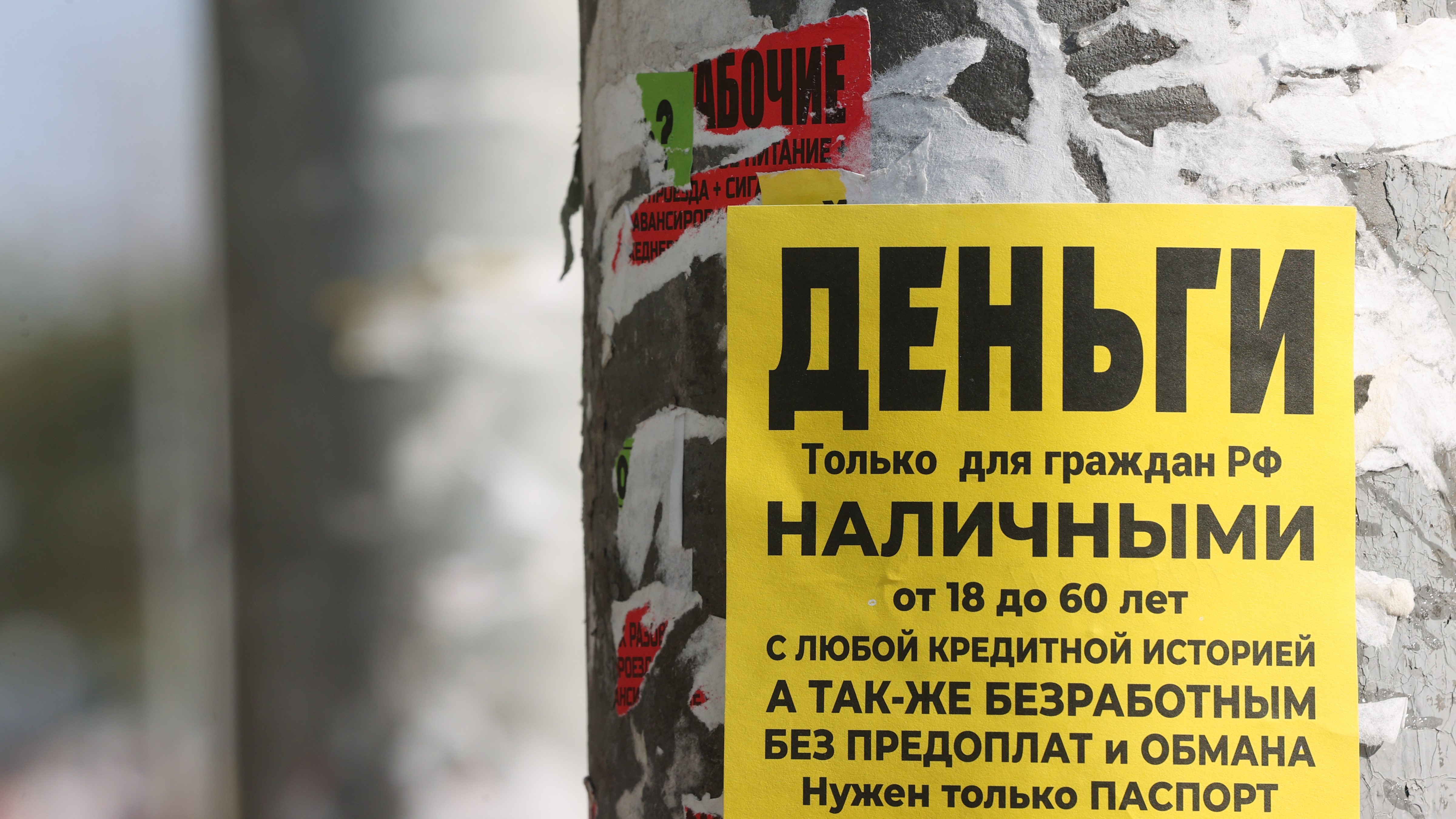 Петербургские МФО стали выдавать меньше займов физическим лицам