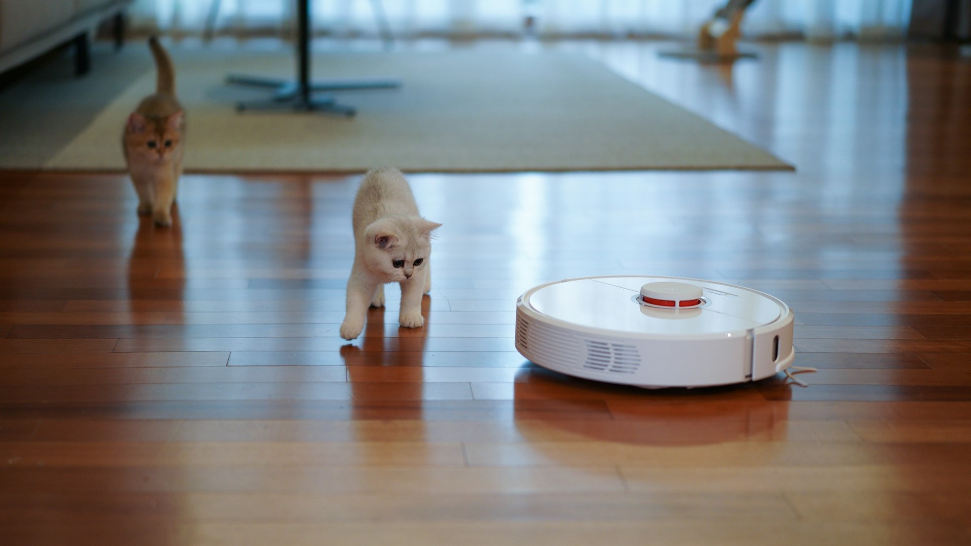 Хакеры добывают личную информацию о гражданах через взлом умных пылесосов