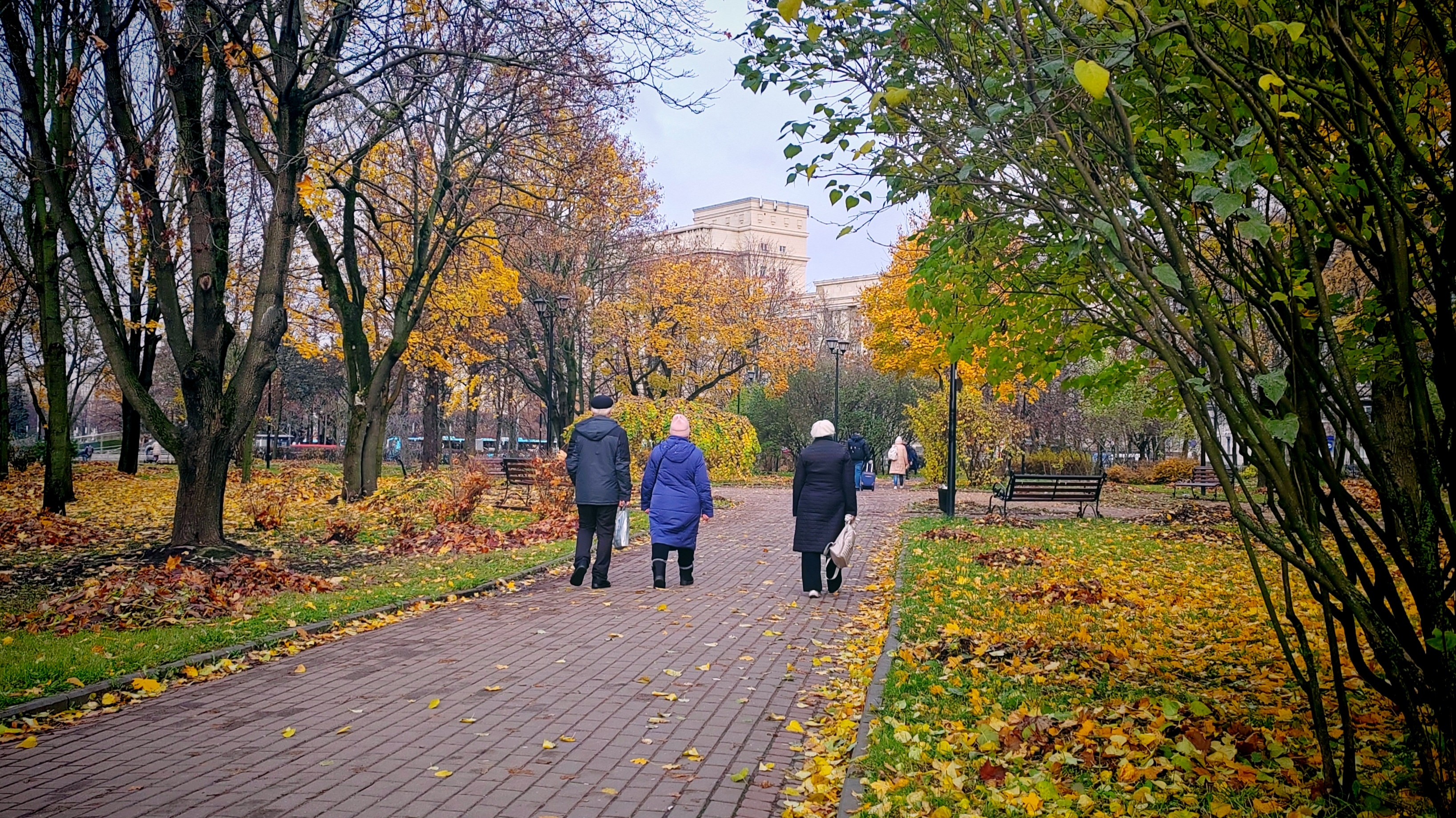 В Петербурге появится парк с площадкой по мотивам мультфильма «Тайна третьей планеты» 