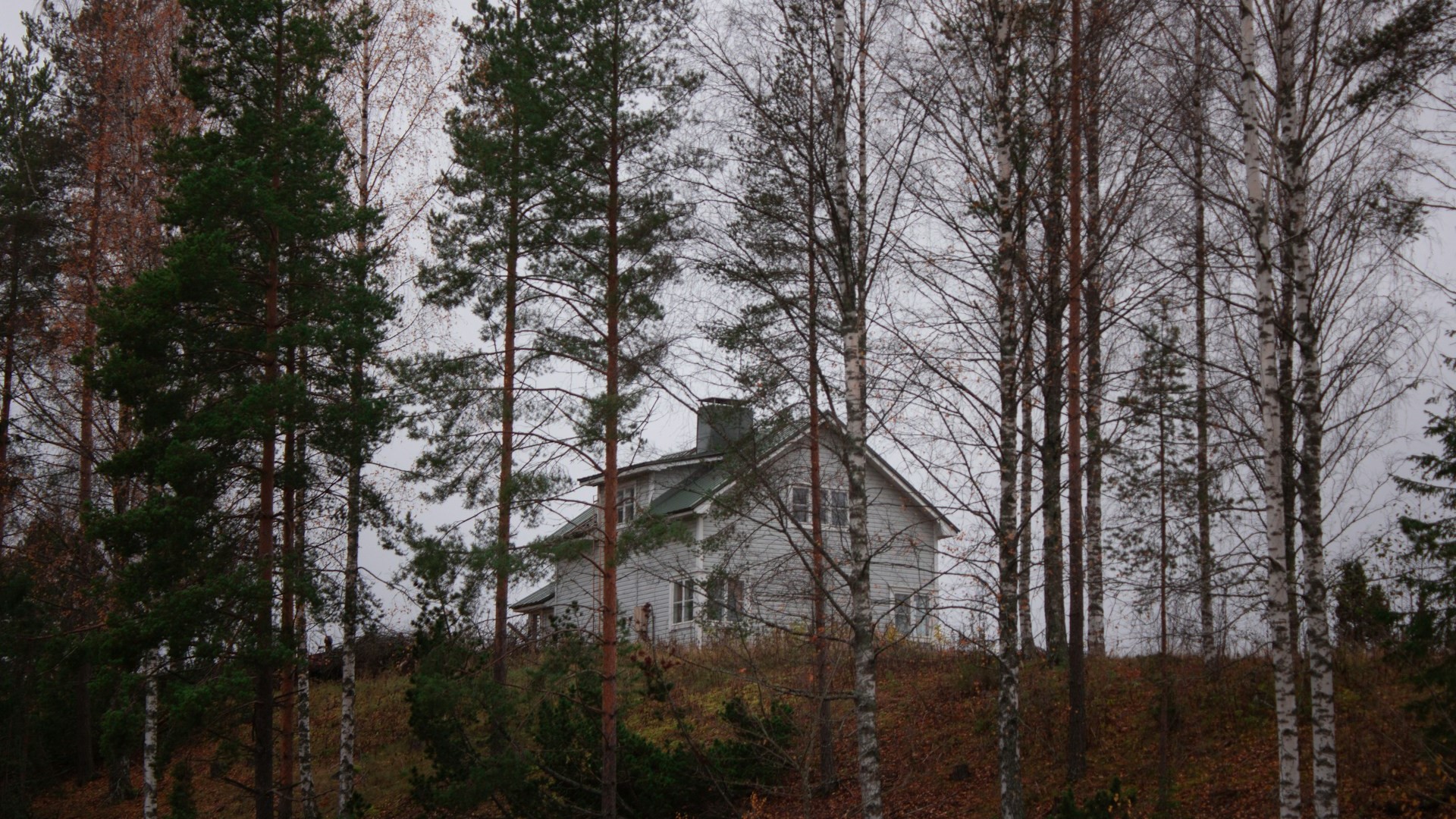 Загородная недвижимость: цены и тенденции