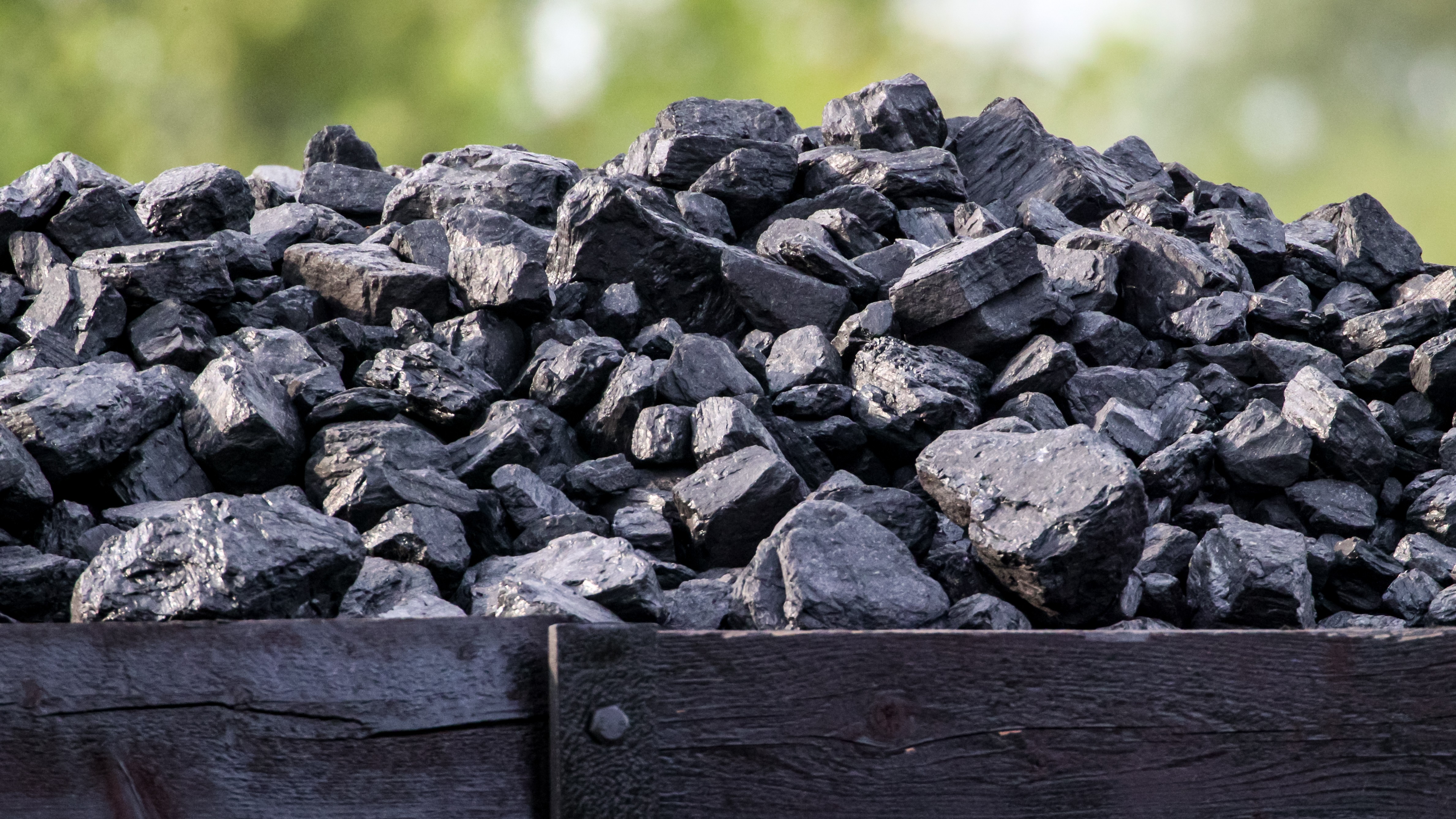 Вывоз угля из России в восточном направлении в 2025 году вырос на 6,1%