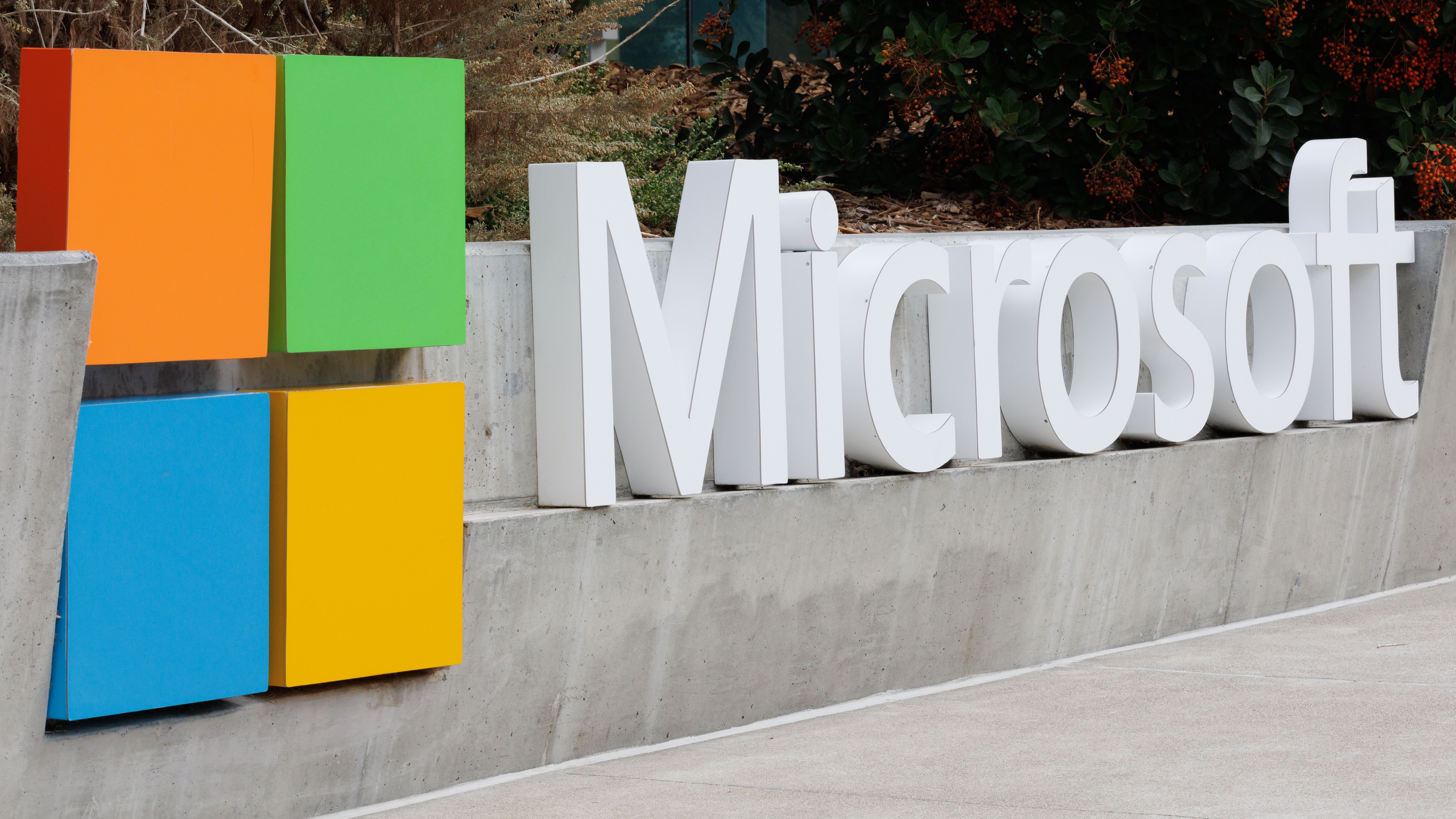 Microsoft подала в Роспатент более 10 заявок на регистрацию товарных знаков
