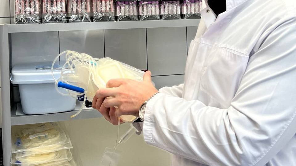 Жители Петербурга более 100 тысяч раз безвозмездно сдали кровь в 2025 году