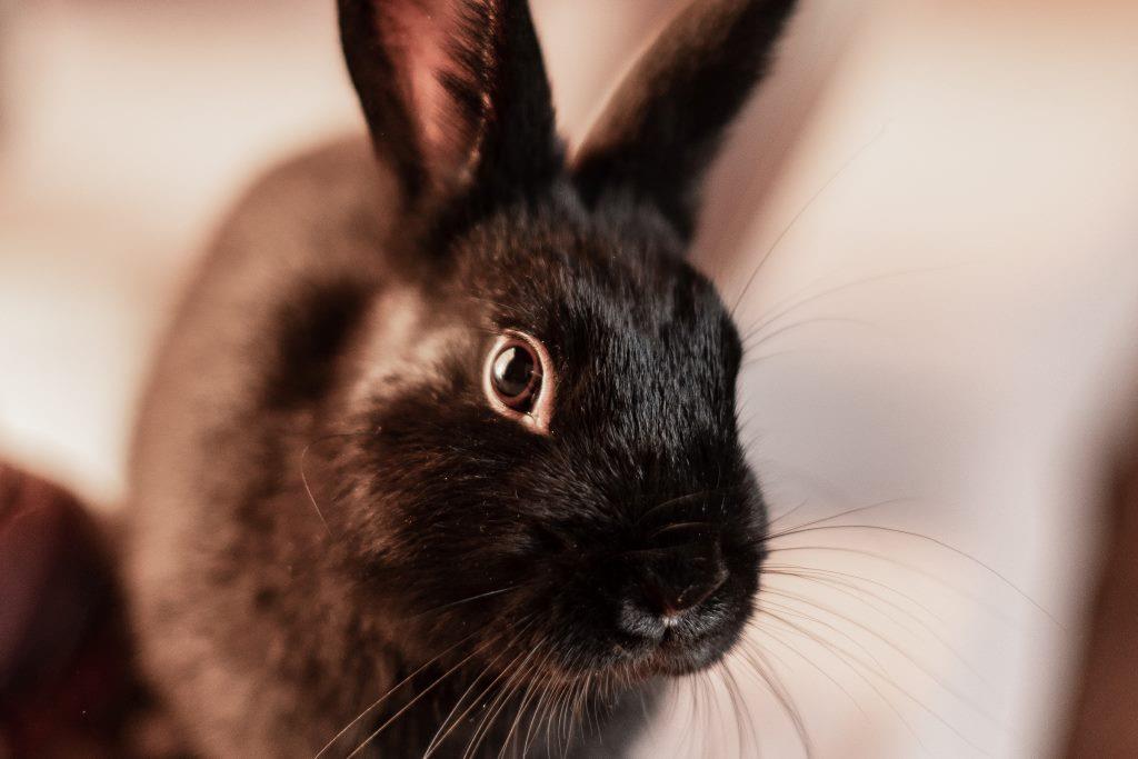 Перемен требуют наши сердца: что ждет бизнес в 2023 году?