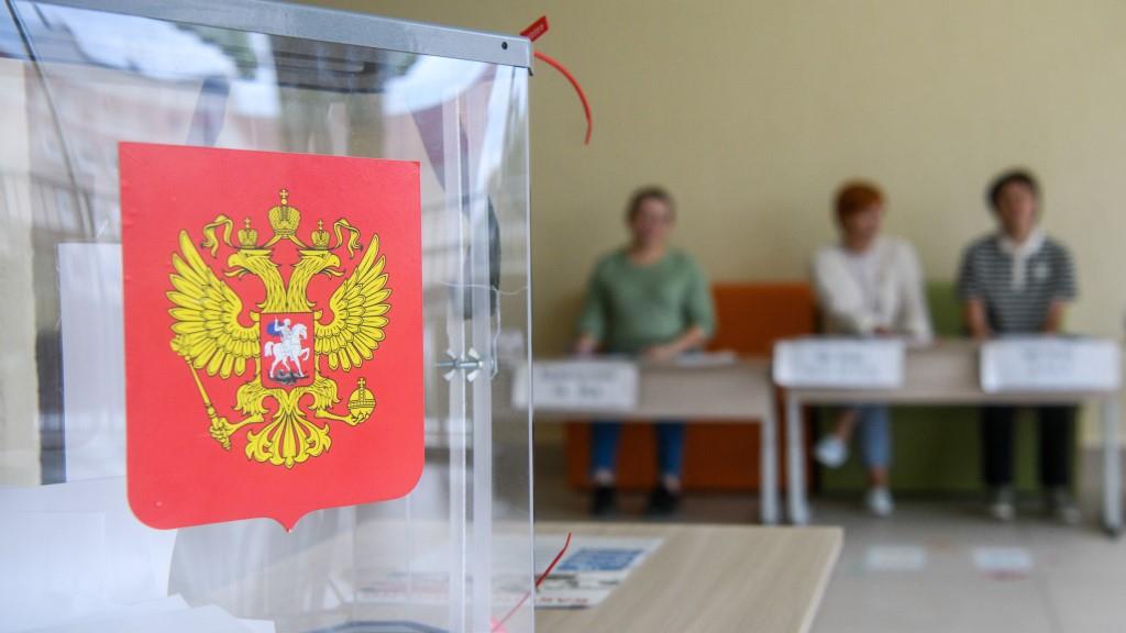 На выборах в Петербурге недосчитаются самовыдвиженцев