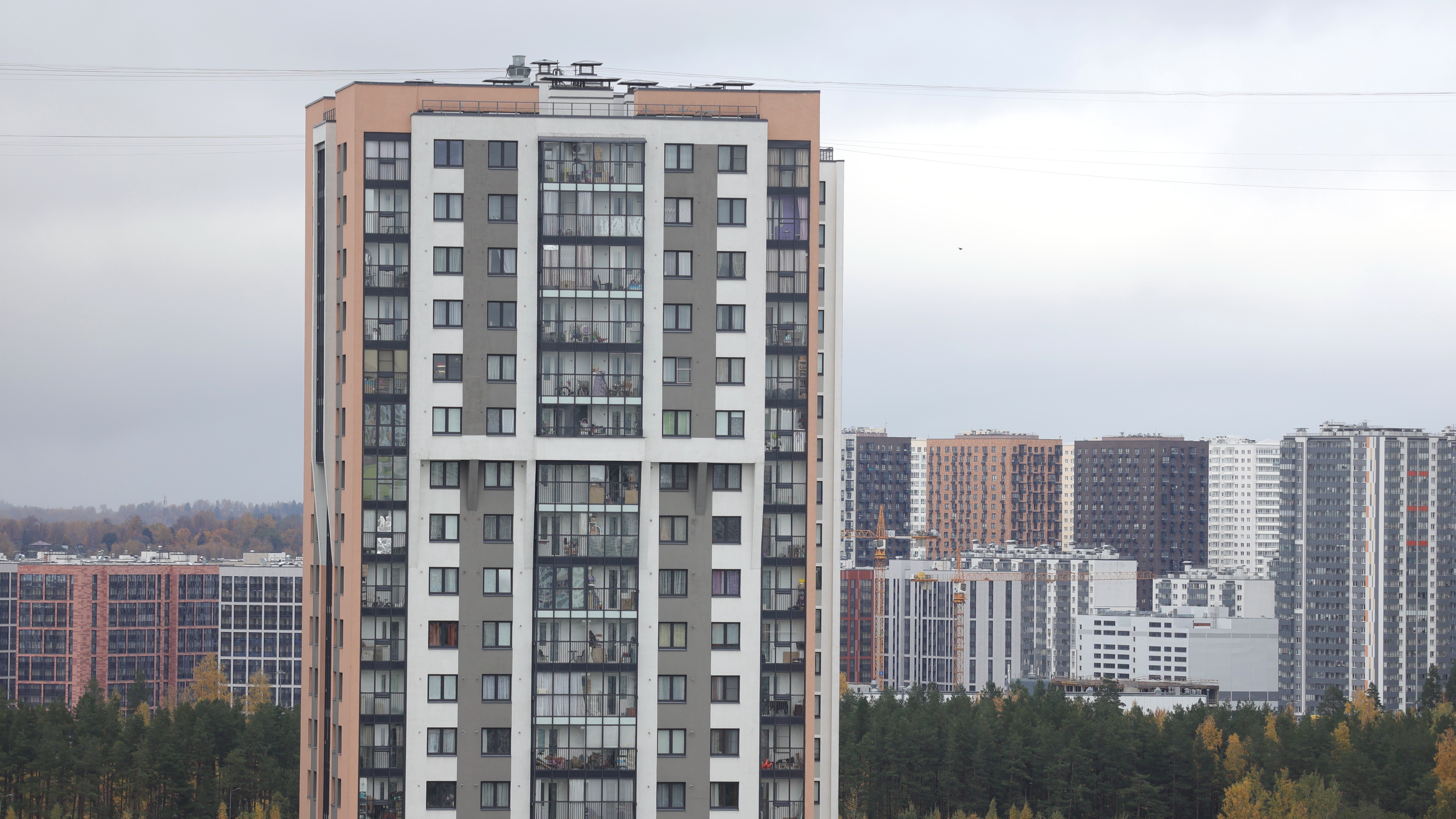 Петербург занял первое место по доле студий в продажах новостроек