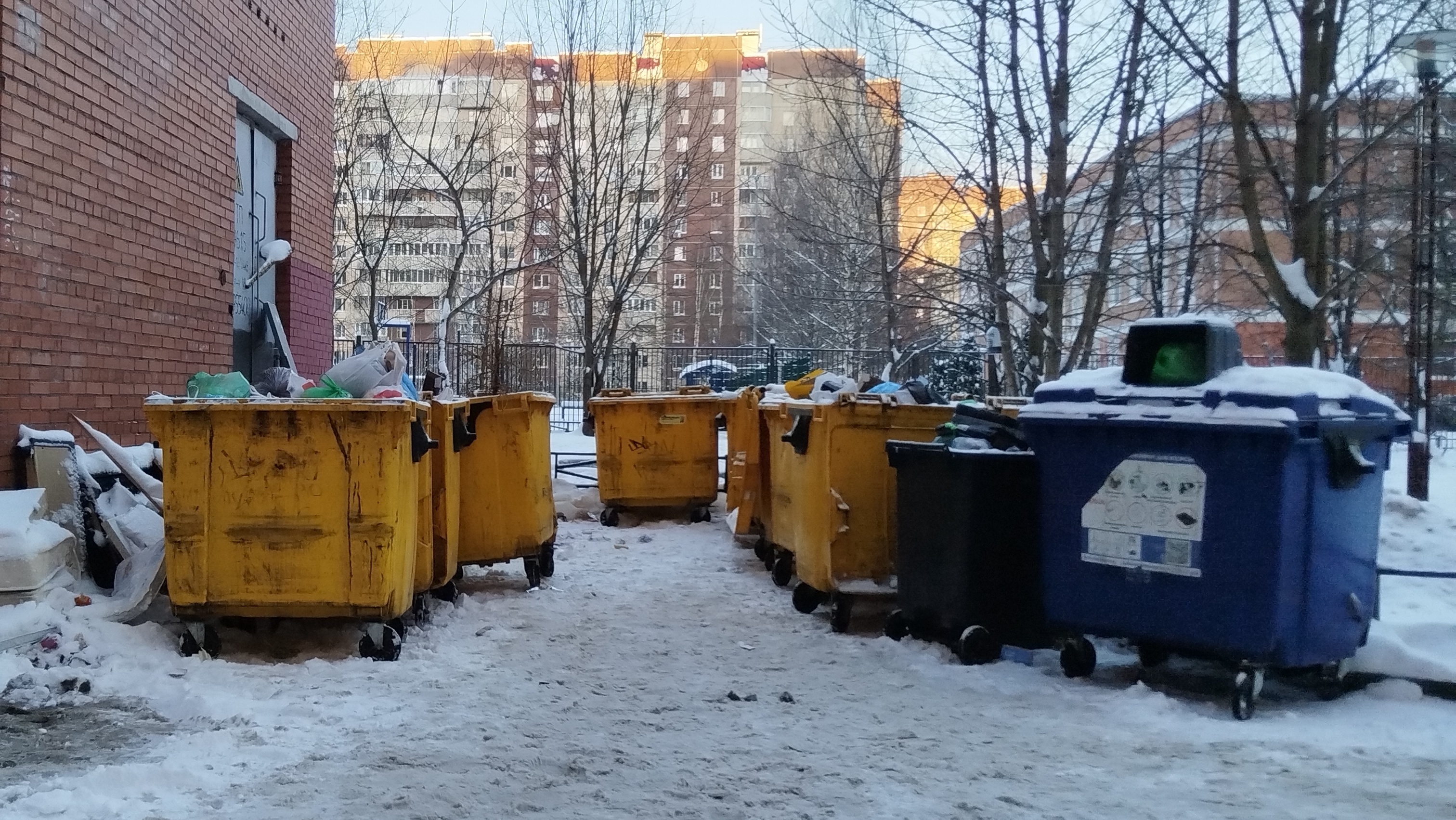 В ЗакСе предложили финансово мотивировать петербуржцев сортировать отходы