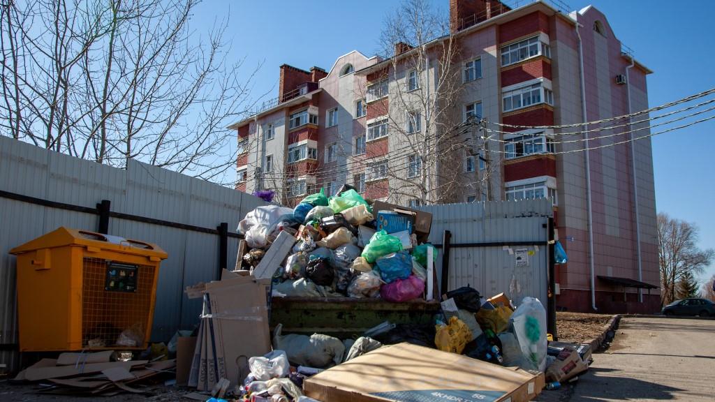 В Ленобласти отвечать за чистоту мусорных площадок и вокруг них будет одно лицо