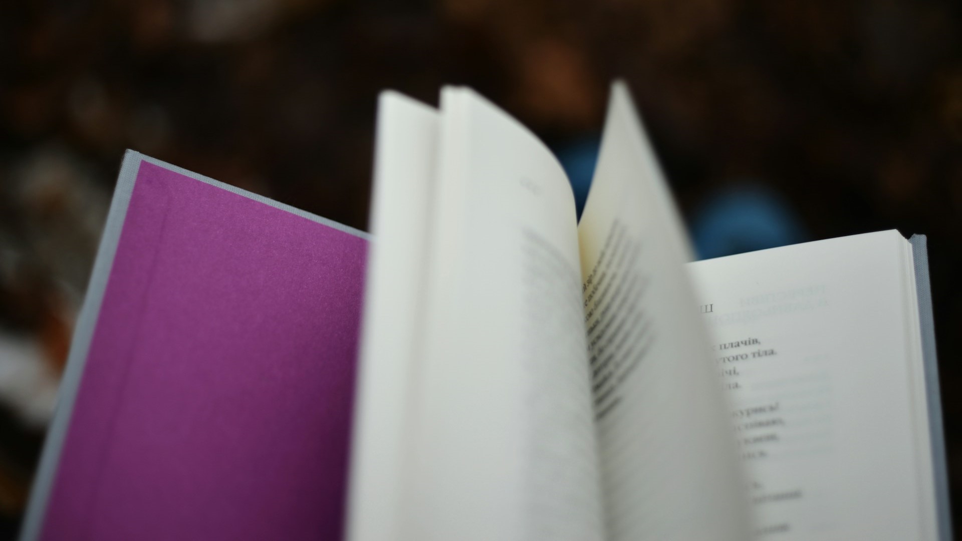 Петербуржцы стали массово учить финский язык: спрос на курсы вырос на 23%